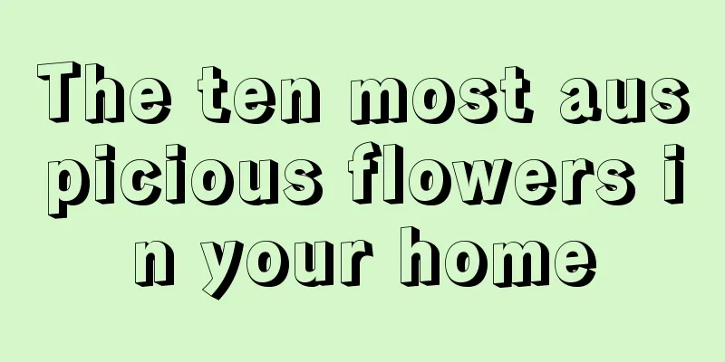 The ten most auspicious flowers in your home