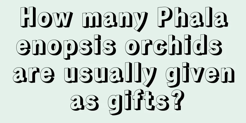 How many Phalaenopsis orchids are usually given as gifts?