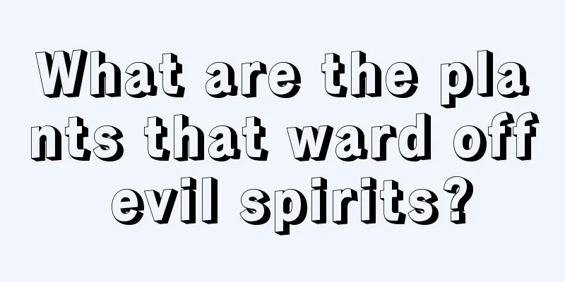 What are the plants that ward off evil spirits?