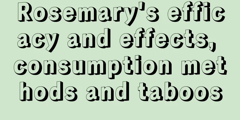 Rosemary's efficacy and effects, consumption methods and taboos