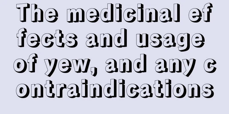 The medicinal effects and usage of yew, and any contraindications