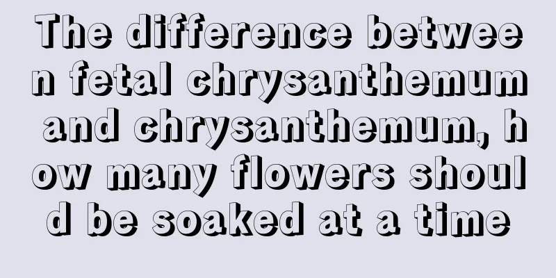 The difference between fetal chrysanthemum and chrysanthemum, how many flowers should be soaked at a time