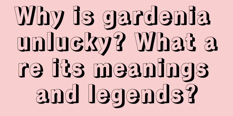 Why is gardenia unlucky? What are its meanings and legends?