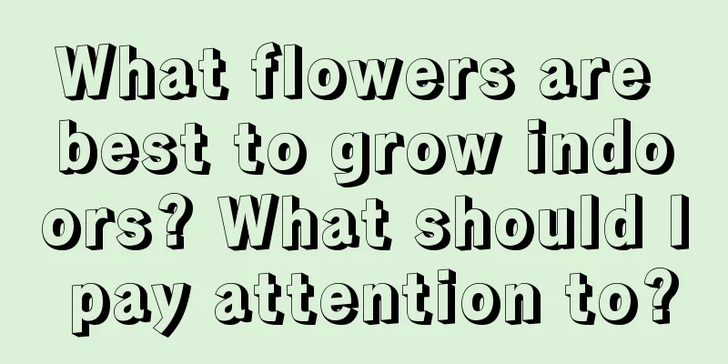 What flowers are best to grow indoors? What should I pay attention to?