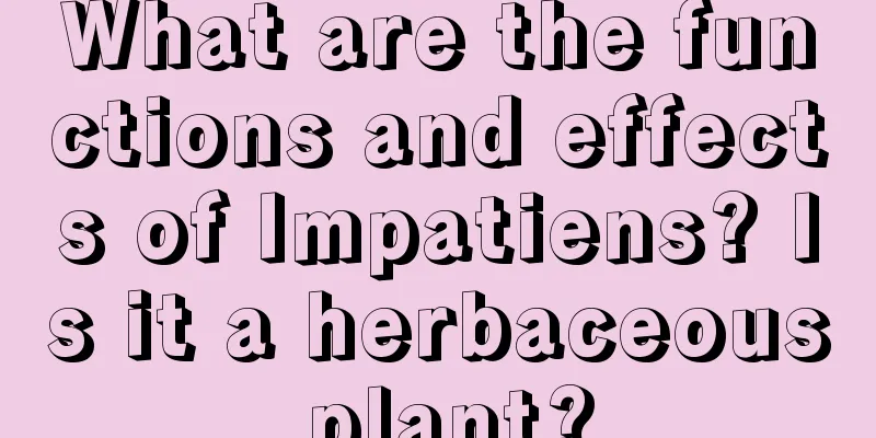 What are the functions and effects of Impatiens? Is it a herbaceous plant?