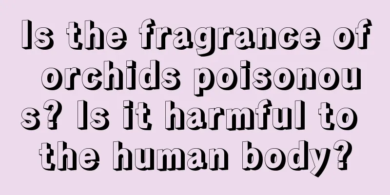 Is the fragrance of orchids poisonous? Is it harmful to the human body?