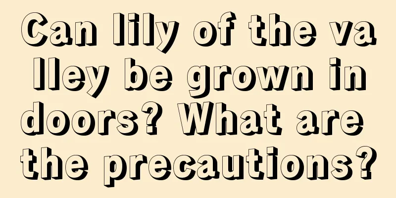 Can lily of the valley be grown indoors? What are the precautions?