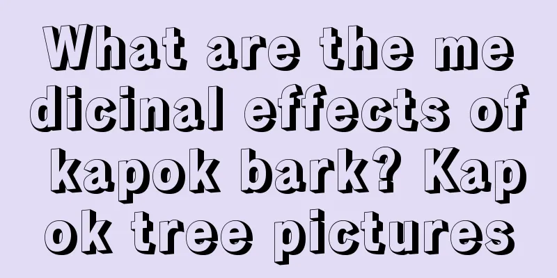 What are the medicinal effects of kapok bark? Kapok tree pictures