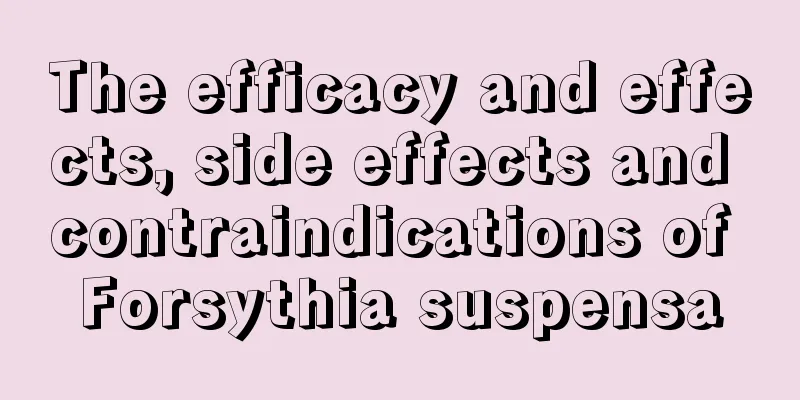 The efficacy and effects, side effects and contraindications of Forsythia suspensa