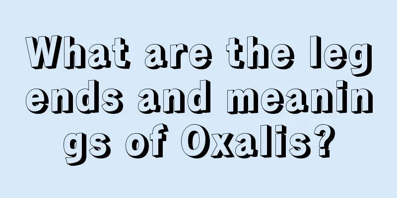 What are the legends and meanings of Oxalis?