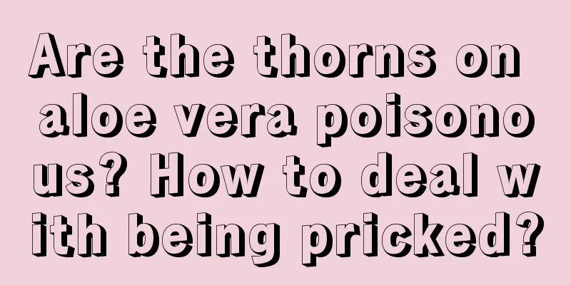 Are the thorns on aloe vera poisonous? How to deal with being pricked?