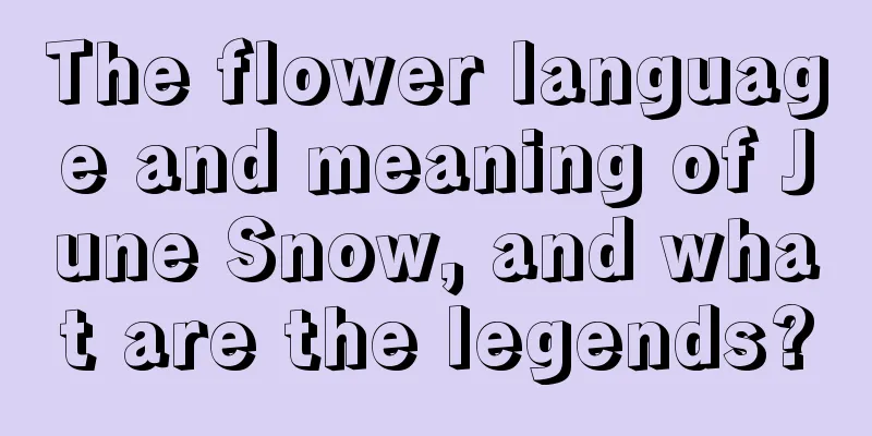 The flower language and meaning of June Snow, and what are the legends?