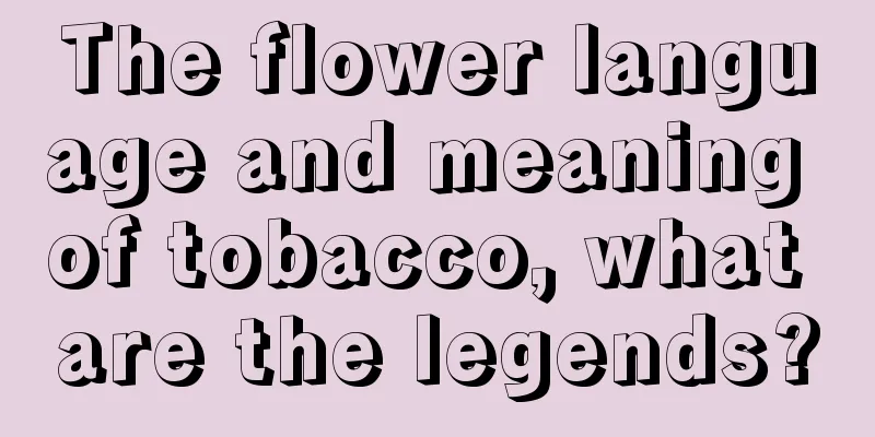 The flower language and meaning of tobacco, what are the legends?