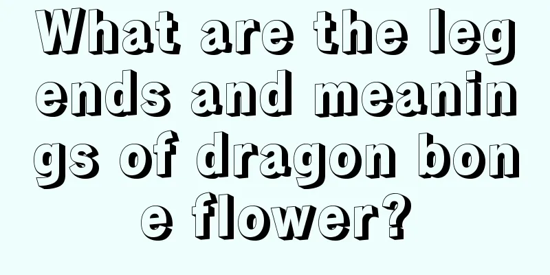 What are the legends and meanings of dragon bone flower?