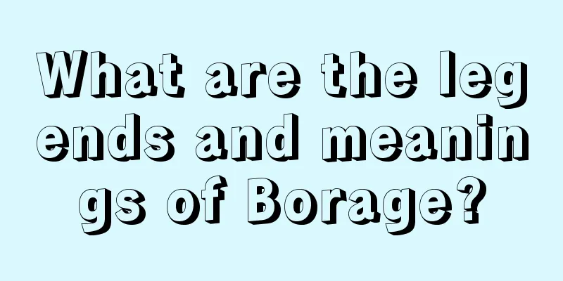 What are the legends and meanings of Borage?