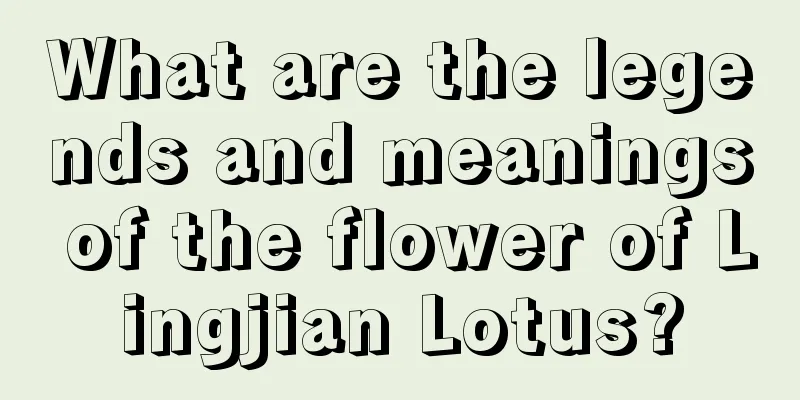 What are the legends and meanings of the flower of Lingjian Lotus?