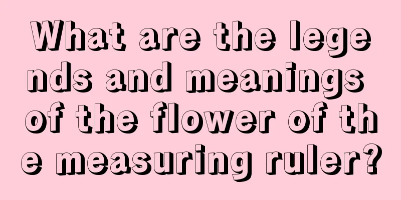 What are the legends and meanings of the flower of the measuring ruler?