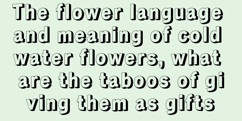 The flower language and meaning of cold water flowers, what are the taboos of giving them as gifts