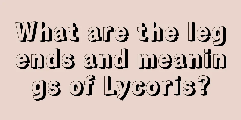 What are the legends and meanings of Lycoris?