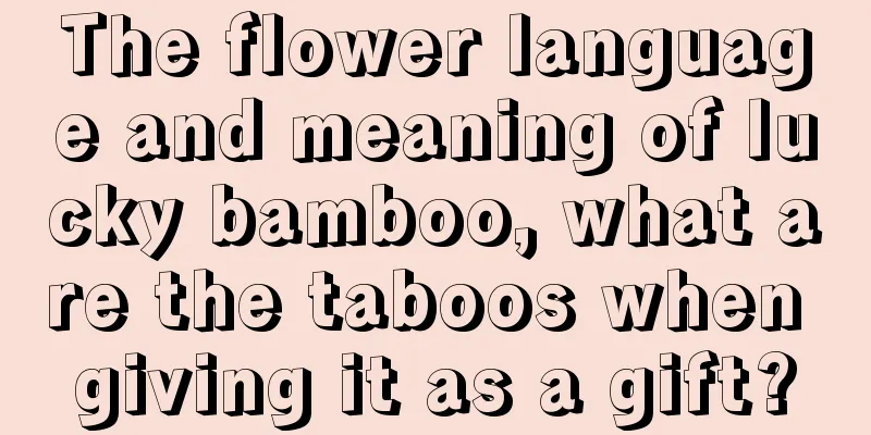 The flower language and meaning of lucky bamboo, what are the taboos when giving it as a gift?