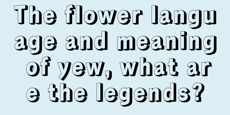 The flower language and meaning of yew, what are the legends?