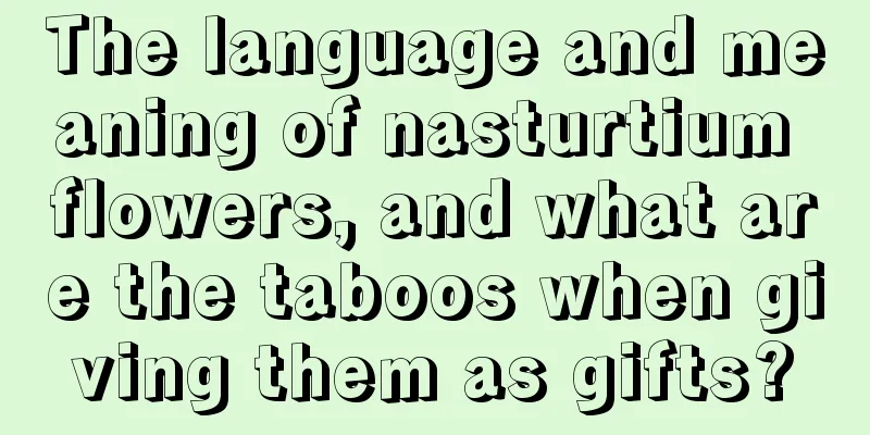 The language and meaning of nasturtium flowers, and what are the taboos when giving them as gifts?