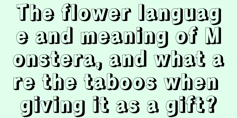 The flower language and meaning of Monstera, and what are the taboos when giving it as a gift?