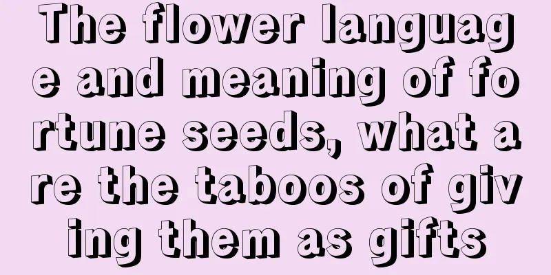 The flower language and meaning of fortune seeds, what are the taboos of giving them as gifts