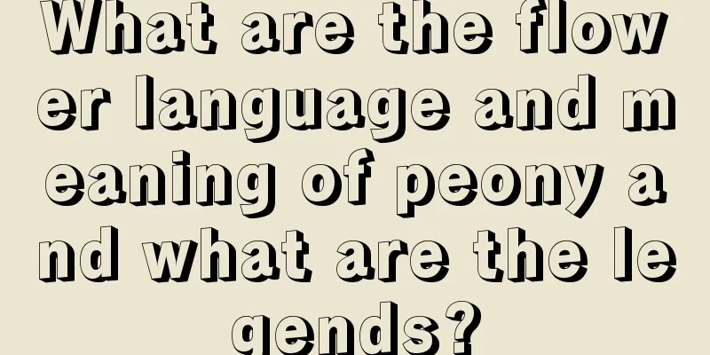 What are the flower language and meaning of peony and what are the legends?