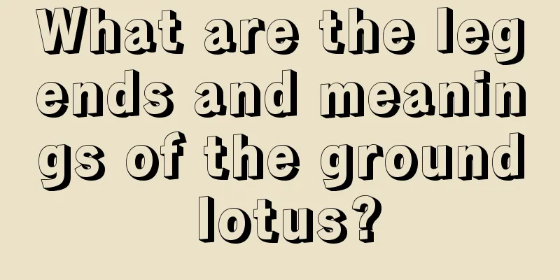 What are the legends and meanings of the ground lotus?