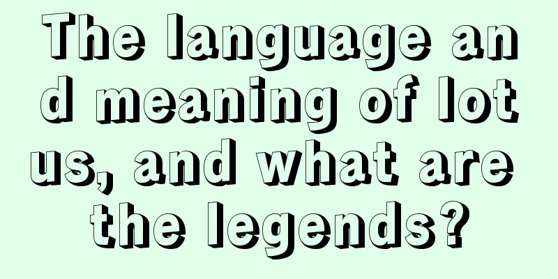 The language and meaning of lotus, and what are the legends?