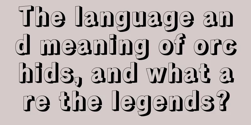 The language and meaning of orchids, and what are the legends?