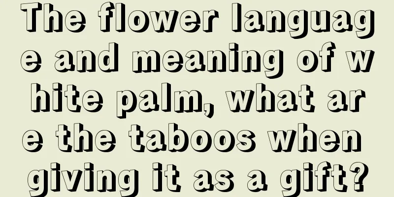 The flower language and meaning of white palm, what are the taboos when giving it as a gift?