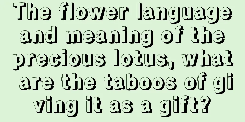 The flower language and meaning of the precious lotus, what are the taboos of giving it as a gift?