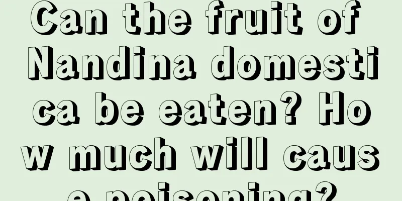 Can the fruit of Nandina domestica be eaten? How much will cause poisoning?