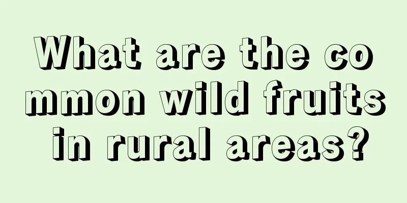 What are the common wild fruits in rural areas?