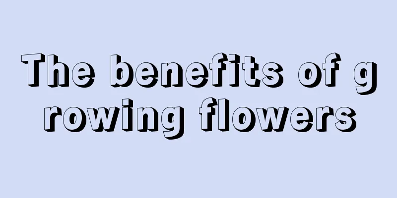 The benefits of growing flowers