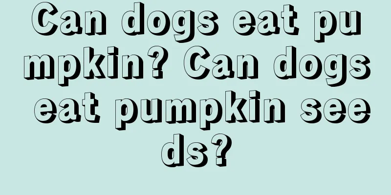 Can dogs eat pumpkin? Can dogs eat pumpkin seeds?