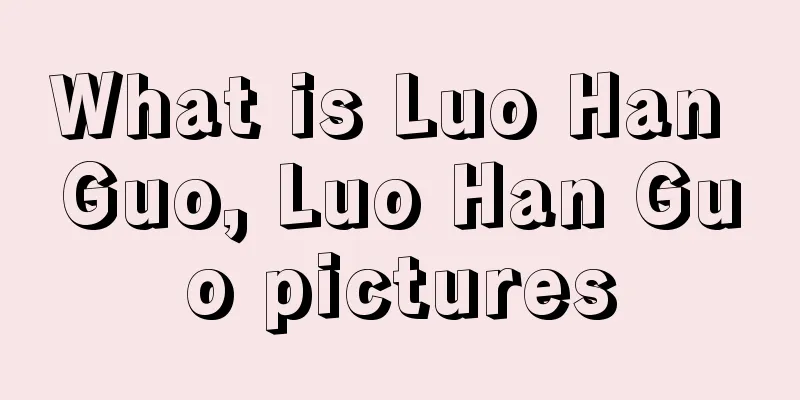 What is Luo Han Guo, Luo Han Guo pictures