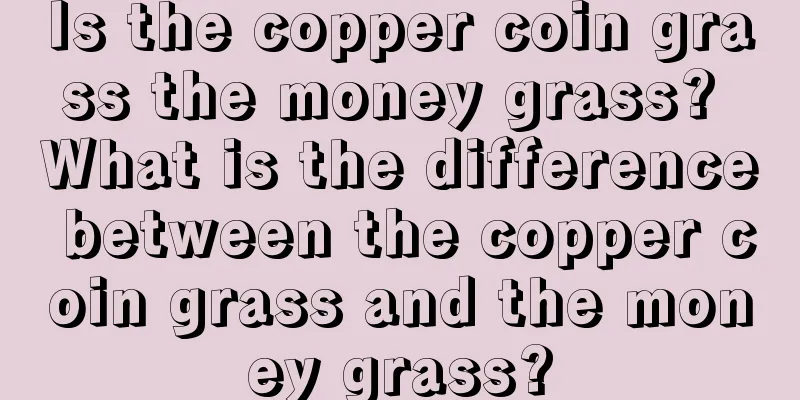 Is the copper coin grass the money grass? What is the difference between the copper coin grass and the money grass?