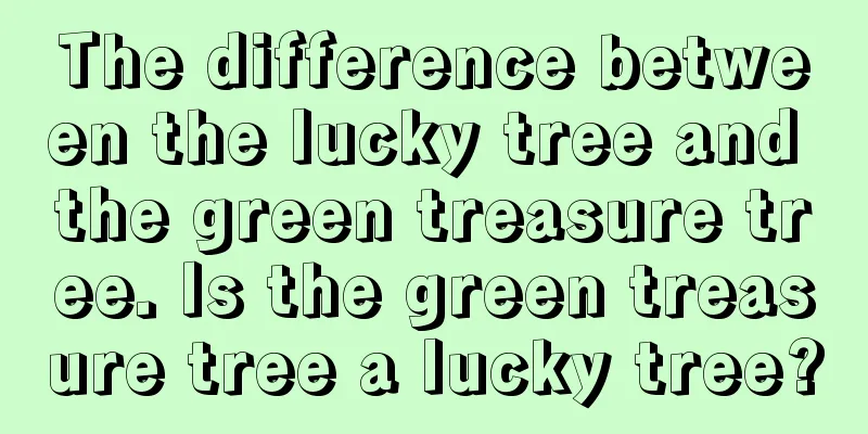 The difference between the lucky tree and the green treasure tree. Is the green treasure tree a lucky tree?