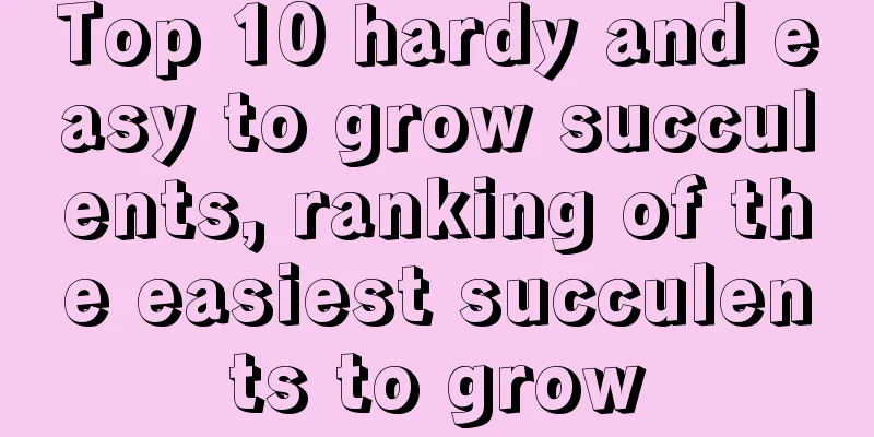 Top 10 hardy and easy to grow succulents, ranking of the easiest succulents to grow