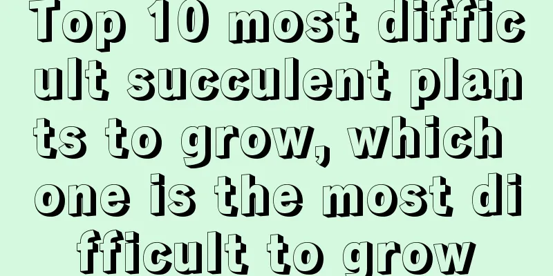 Top 10 most difficult succulent plants to grow, which one is the most difficult to grow