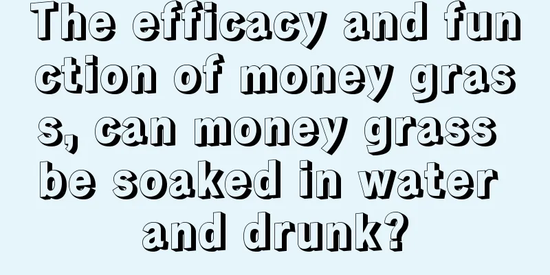 The efficacy and function of money grass, can money grass be soaked in water and drunk?