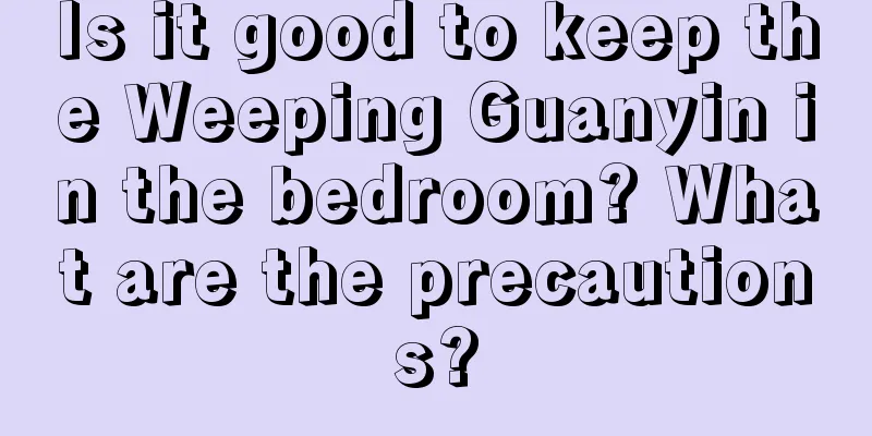 Is it good to keep the Weeping Guanyin in the bedroom? What are the precautions?