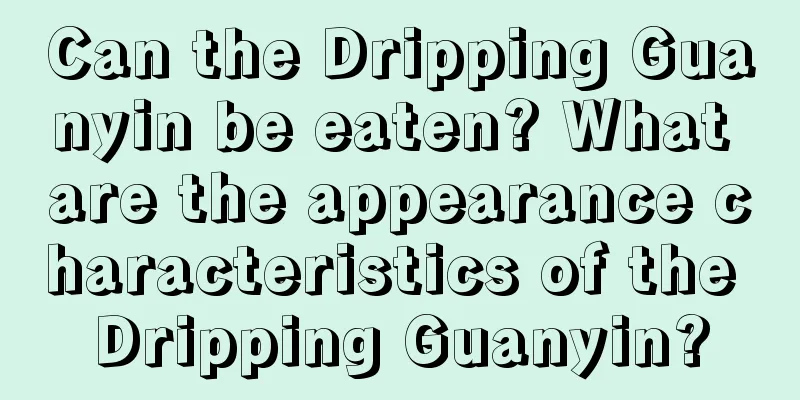 Can the Dripping Guanyin be eaten? What are the appearance characteristics of the Dripping Guanyin?