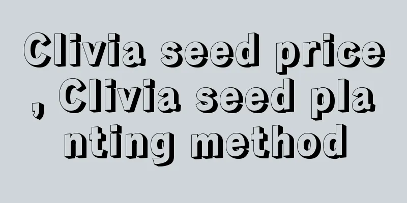 Clivia seed price, Clivia seed planting method