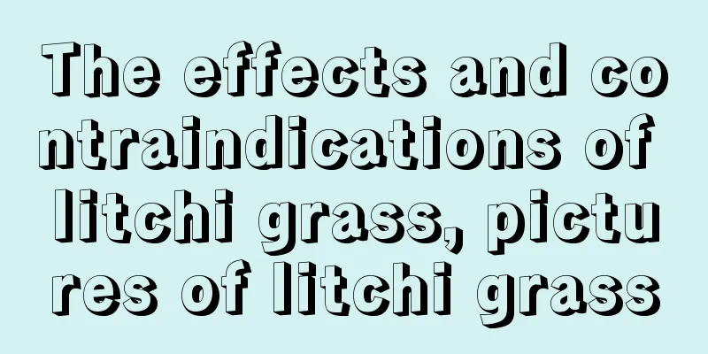 The effects and contraindications of litchi grass, pictures of litchi grass