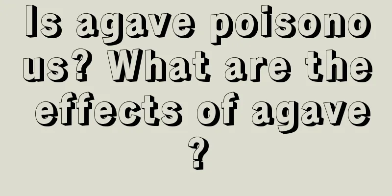 Is agave poisonous? What are the effects of agave?