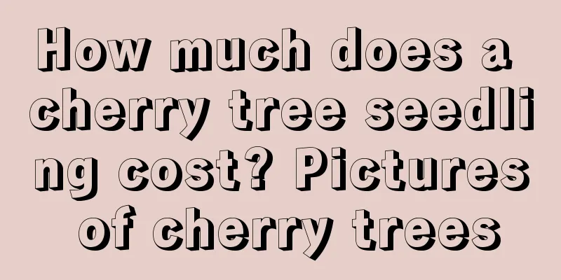 How much does a cherry tree seedling cost? Pictures of cherry trees